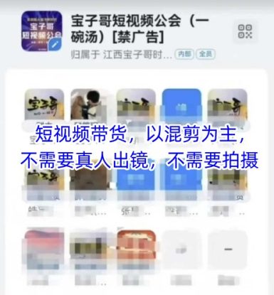 宝子哥头部团队短视频带货，以混剪为主，不需要真人出镜，不需要拍摄——生财有道创业项目网