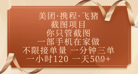 飞猪美团截图项目，你只管截图，一部手机在家做，正规平台无套路，一天5张+【揭秘】——生财有道创业项目网