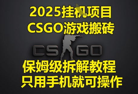 2025挂G项目，CSGO游戏搬砖，保姆级拆解教程，只用手机就可操作【揭秘】——生财有道创业项目网