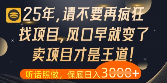 什么？25年你还在疯狂找项目做，醒醒吧，看完这些你全都懂了【揭秘】——生财有道创业项目网