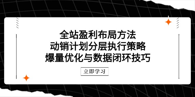 （14698期）全站盈利布局方法：动销计划分层执行策略，爆量优化与数据闭环技巧_生财有道创业项目网