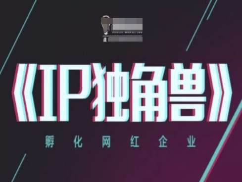 IP独角兽，孵化网红企业，ip教程——生财有道创业项目网