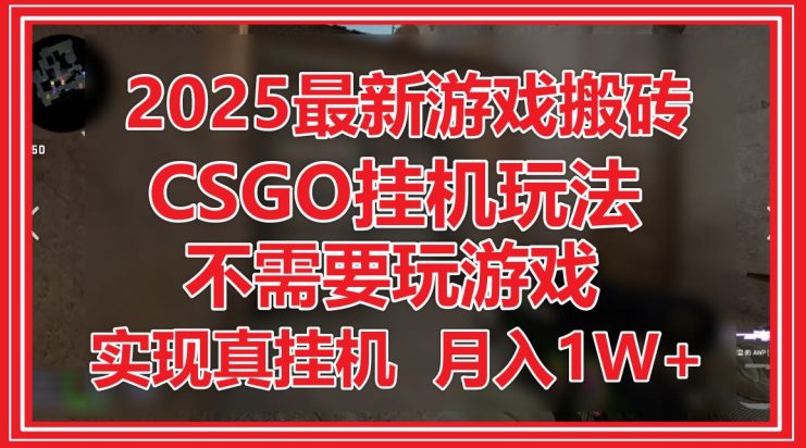 （14743期）2025最新游戏搬砖，CSGO挂机，不需要玩游戏，实现真挂机，月入1W+_生财有道创业项目网