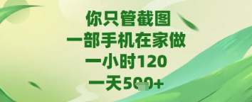 你只管截图，一部手机在家做，苹果安卓都可以，一天5张+【揭秘】——生财有道创业项目网