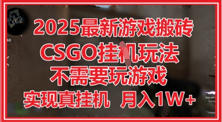 2025最新游戏搬砖，CSGO挂G，不需要玩游戏，实现真挂G，月入1W+【揭秘】——生财有道创业项目网