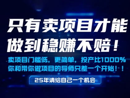 只有卖项目才能做到稳挣不赔，门槛低，更简单，你也可以年入百个W【揭秘】——生财有道创业项目网