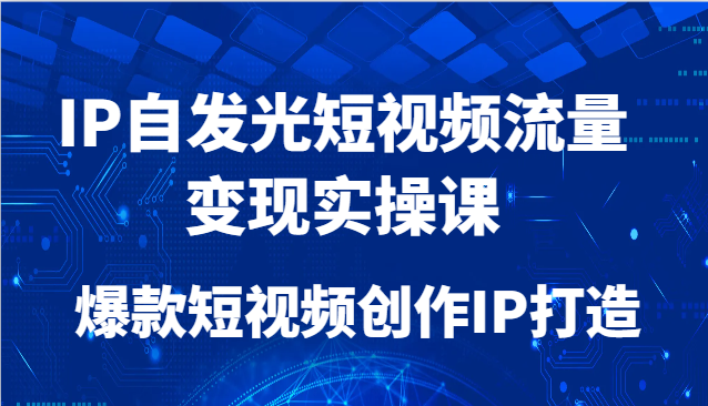 IP自发光短视频流量变现实操课，爆款短视频创作IP打造_生财有道创业网