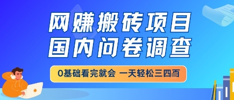 网创搬砖项目，国内问卷调查，小白轻松上手，一天三四张的也不难，干就完了【揭秘】——生财有道创业项目网