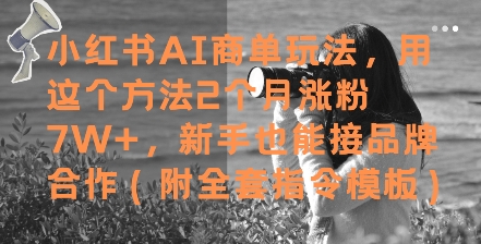 小红书AI商单玩法，用这个方法2个月涨粉7W+，新手也能接品牌合作(附全套指令模板)——生财有道创业项目网