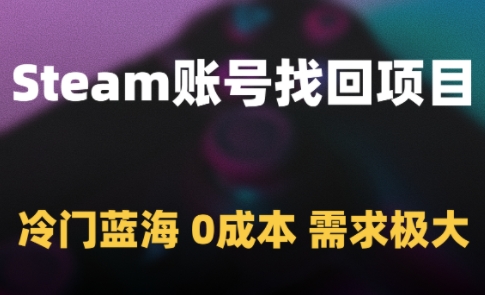 Steam账号找回项目，冷门蓝海，0成本，需求极大——生财有道创业项目网