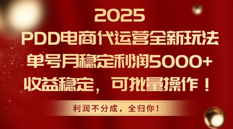 （14839期）2025PDD电商代运营全新玩法，单号月稳定利润5000+，收益稳定，可批量操作_生财有道创业项目网