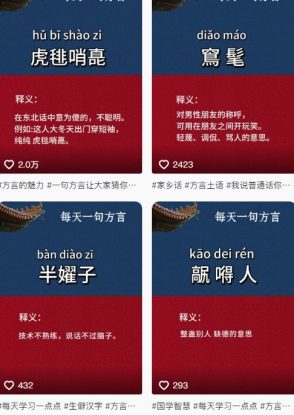 抖音最新涨粉玩法，图文方言暴力涨粉实操，126作品涨粉11W——生财有道创业项目网