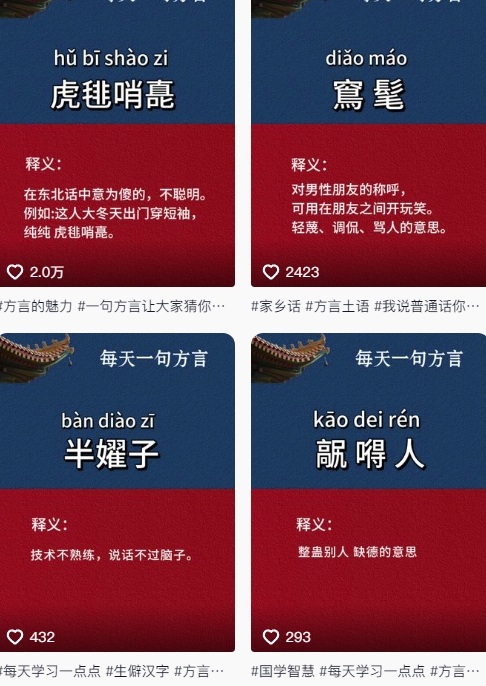 图片[2]-抖音最新涨粉玩法，图文方言暴力涨粉实操，126作品涨粉11W——生财有道创业项目网-生财有道