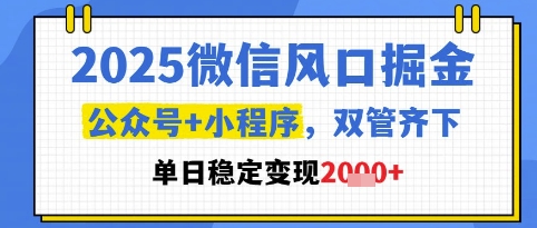 2025微信风口掘金，公众号+小程序双管齐下，单日稳定变现1k+【揭秘】——生财有道创业项目网