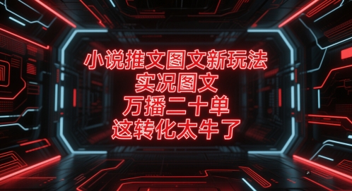 小说推文图文新玩法，实况图文，万播二十单，这转化太牛了！——生财有道创业项目网