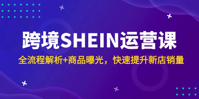 （14832期）跨境SHEIN运营课，全流程解析+商品曝光，快速提升新店销量_生财有道创业项目网