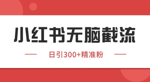 小红书截流同行客源，独家野路子获客玩法 日引200+暴力获客【揭秘】——生财有道创业项目网
