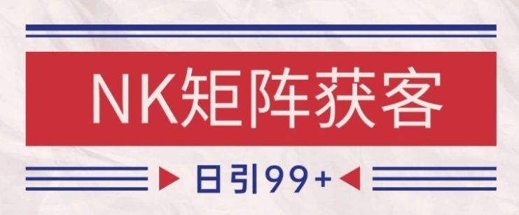 小红书某音NK赛道引流获客 自热矩阵日引200+【揭秘】——生财有道创业项目网
