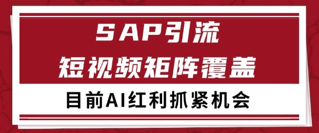 小红书某音sap赛道引流获客 自热矩阵日引200+【揭秘】——生财有道创业项目网