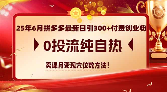 （14989期）25年6月拼多多最新日引300+付费创业粉，0投流纯自热 卖课月变现六位数方法_生财有道创业项目网