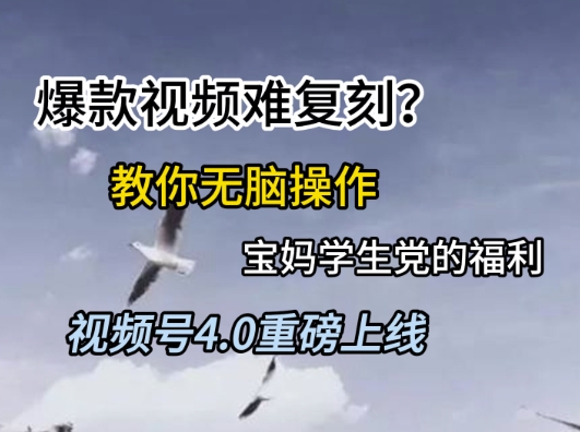 视频号4.0重磅上线，爆款视频难复刻？教你无脑操作宝妈学生党的福利【揭秘】——生财有道创业项目网