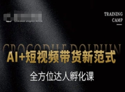 AI+短视频带货新范式，全方位达人孵化课——生财有道创业项目网