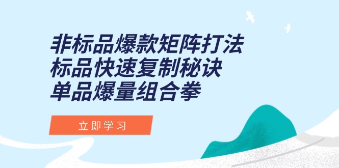 （15068期）非标品爆款矩阵打法，标品快速复制秘诀，单品爆量组合拳_生财有道创业项目网
