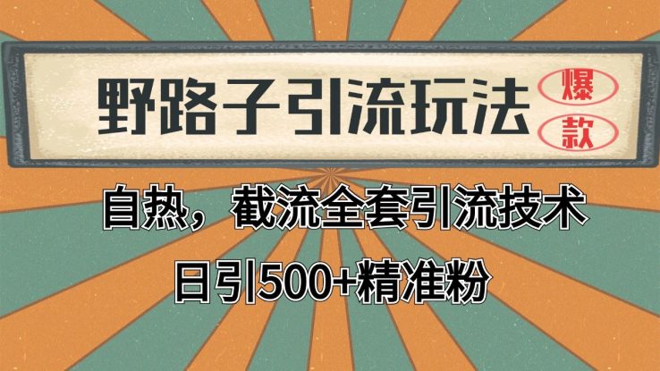2024首发野路子引流玩法截流自热全平台打法，全自动引流【日引2000+精准客户】_生财有道创业网