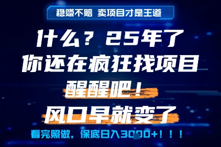 什么？25年你还在疯狂找项目做，醒醒吧，看完这些你全都懂了！【揭秘】——生财有道创业项目网