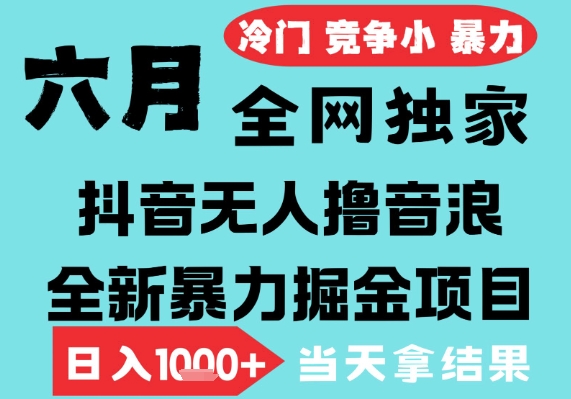 2025年6月高爆抖音无人直播最新撸音浪掘金项目，无脑日入1k+，低门槛小白可做，可矩阵放大【揭秘】——生财有道创业项目网