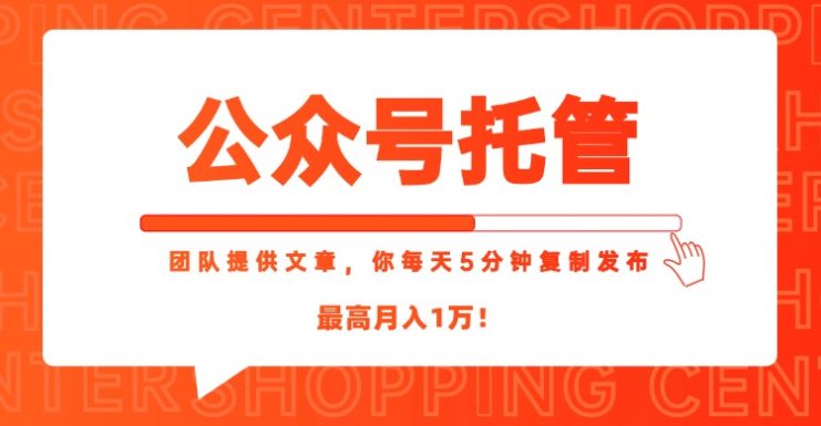 （15109期）【公众号托管 】我提供文章，你每天５分钟复制发布，最高月入1W_生财有道创业项目网