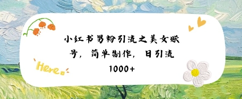 小红书男粉引流项目之美女账号6，简单制作，条条爆款原创，不违规——生财有道创业项目网