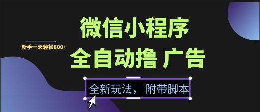 微信小程序全自动撸广告项目，彻底解决没流量的问题，新手一天8张+【揭秘】——生财有道创业项目网