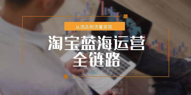 淘宝蓝海运营全链路，从选品到流量变现，小类目突围完整方案_生财有道创业网