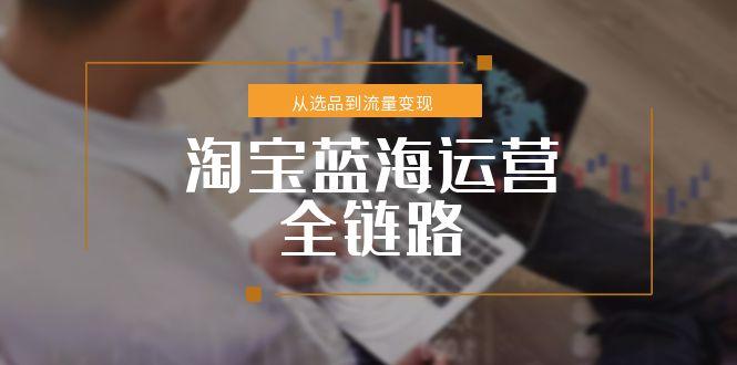 （15160期）淘宝蓝海运营全链路，从选品到流量变现，小类目突围完整方案_生财有道创业项目网