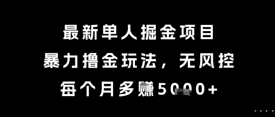 最新单人掘金项目，暴力撸金玩法，无风控，每个月多挣5k+【揭秘】——生财有道创业项目网