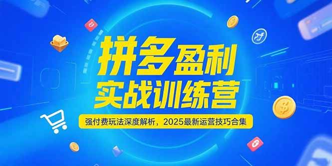 拼多多盈利实战训练营，强付费玩法深度解析，2025最新运营技巧合集_生财有道创业网