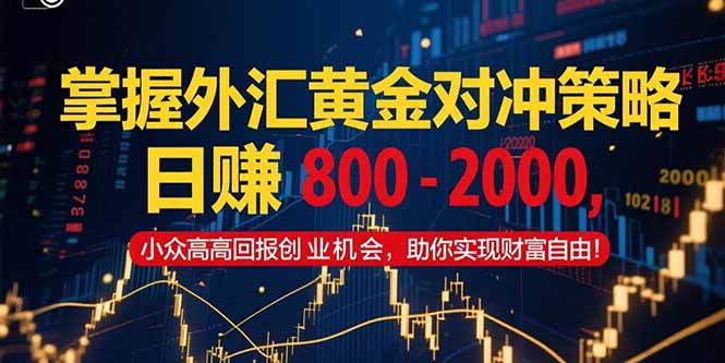（15198期）掌握外汇黄金对冲策略，日赚 800 – 2000，小众高回报创业机会，助你实…_生财有道创业项目网
