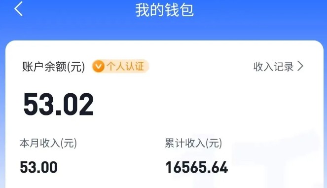适合空闲时间操作的小红书低保项目，小红薯发布笔记，单个账号每天可获得2-12元左右_生财有道创业网