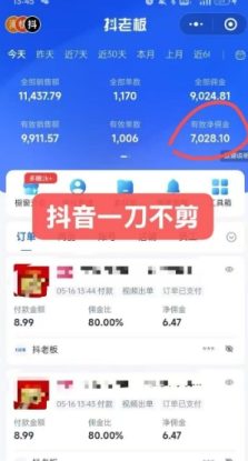 抖音短视频一刀不剪带货，不剪辑，不直播，每天发个视频，等着出单获取带货佣金——生财有道创业项目网