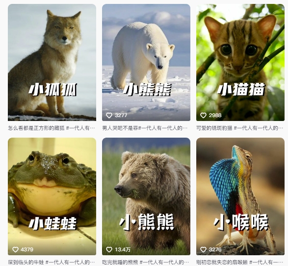 图片[2]-最新搞笑动物百科详细解说课程，蓝海赛道，流量非常大，轻松签独家进精选——生财有道创业项目网-生财有道