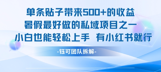 单条贴子带来5张的收益，暑假最好做的私域项目之一，小白也能轻松上手，有小红书就行——生财有道创业项目网