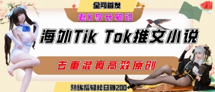 海外tiktok小说推文暴力项目，高停留率，高转化率，上手后一天搞顿饭钱不是问题——生财有道创业项目网