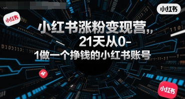 小红书涨粉变现营，21天从0-1做一个挣钱的小红书账号——生财有道创业项目网