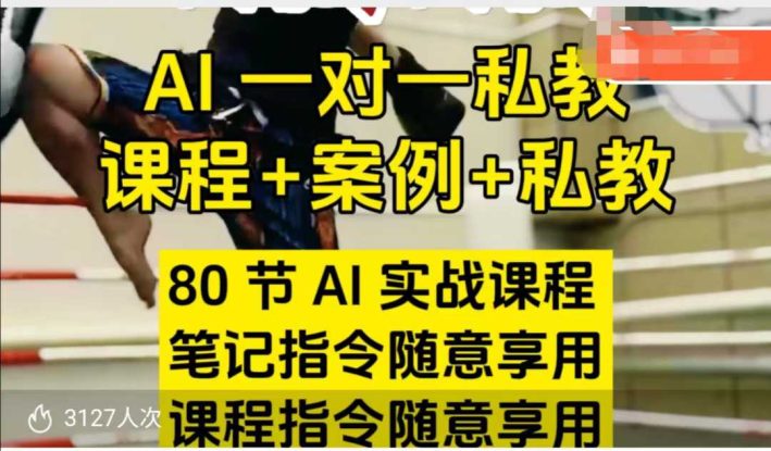 AI指令实战课，课程+案例，80节AI实战课程，笔记指令随意享用，课程指令随意享用（更新7月）——生财有道创业项目网