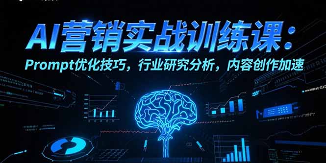 （15465期）AI营销实战训练课：Prompt优化技巧，行业研究分析，内容创作加速_生财有道创业项目网