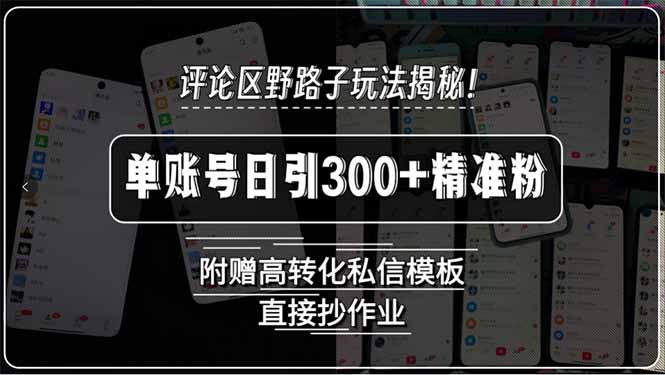 （15466期）评论区野路子玩法揭秘！单账号日引300+精准粉，附赠高转化私信模板，直…_生财有道创业项目网