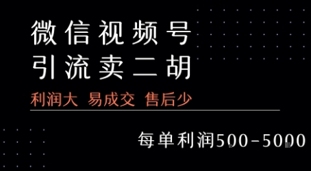 视频号卖二胡教程，利润大 易成交 售后少，一单利润5张+——生财有道创业项目网