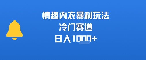 情趣内衣暴利玩法，冷门赛道，日入1k+——生财有道创业项目网
