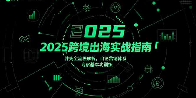 （15503期）2025跨境出海实战指南，并购全流程解析，自创营销体系，专家基本功训练_生财有道创业项目网
